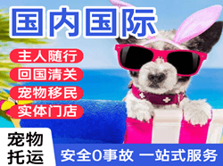 金昌金川机场邮寄国际宠物托运 【国